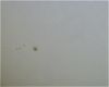 sunspots 5/26/12
